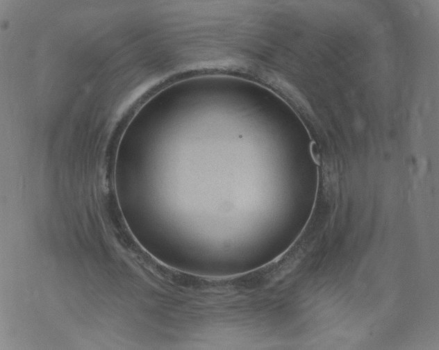 X0000074280628200609081828