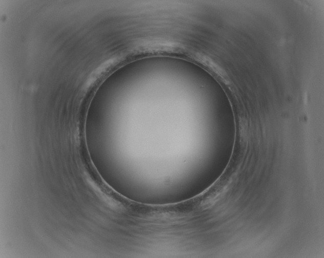 X0000074280629200609081828