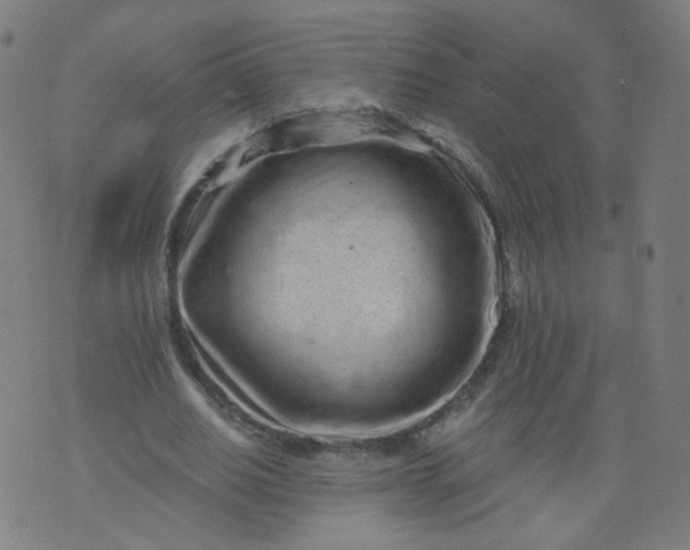 X0000074280630200609081828