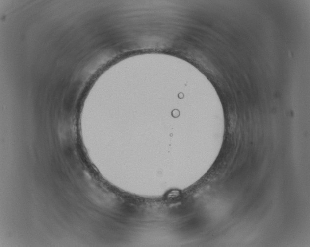 X0000074280632200609081828