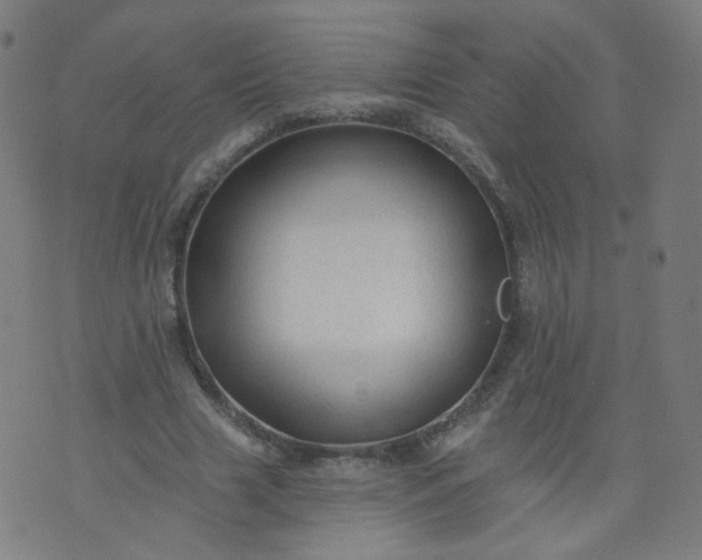 X0000074280633200609081828