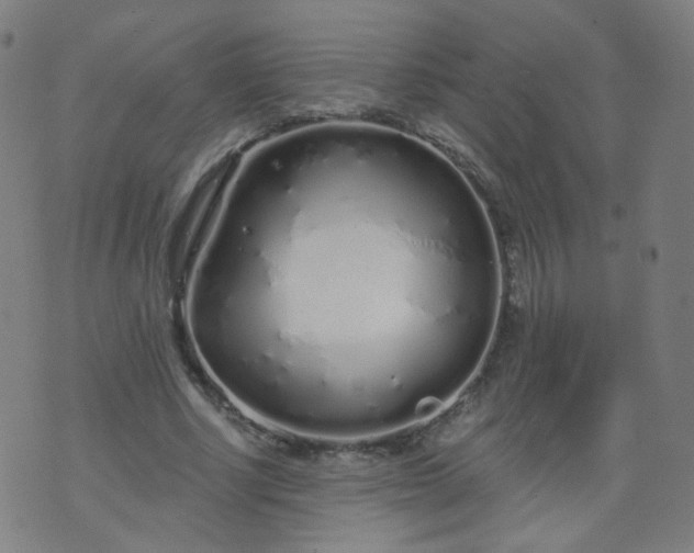 X0000074280634200609081828