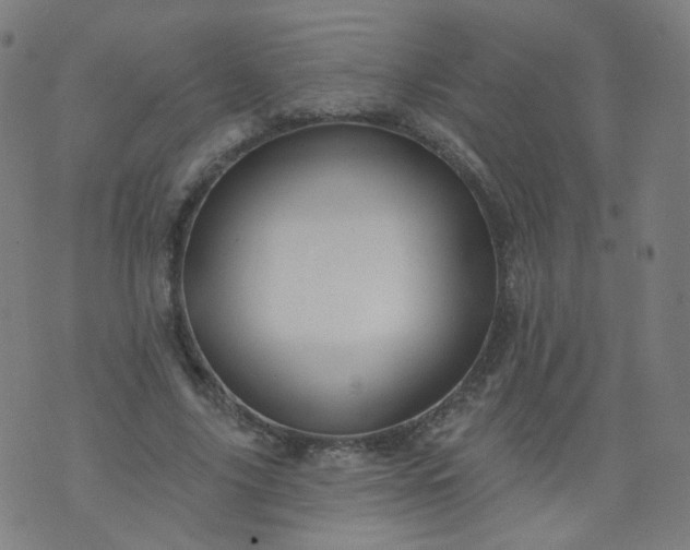 X0000074280635200609081828