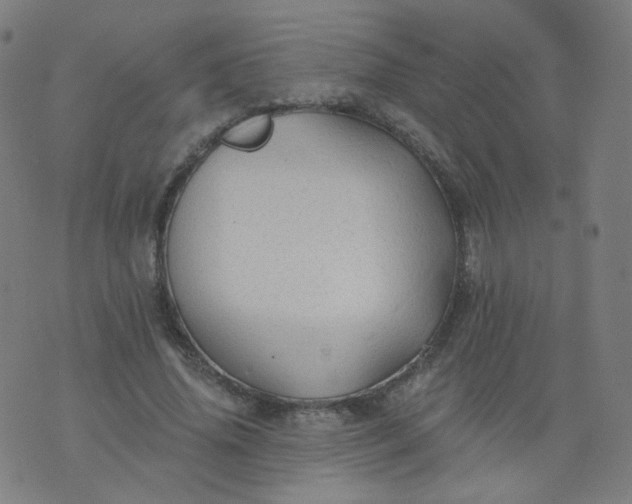 X0000074280636200609081828