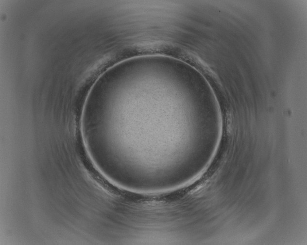 X0000074280637200609081828