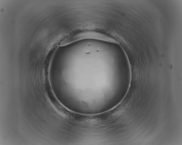 X0000074280638200609081828