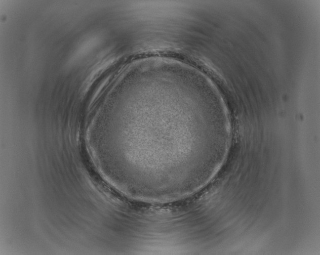 X0000074280640200609081828