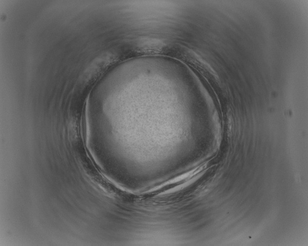 X0000074280641200609081828