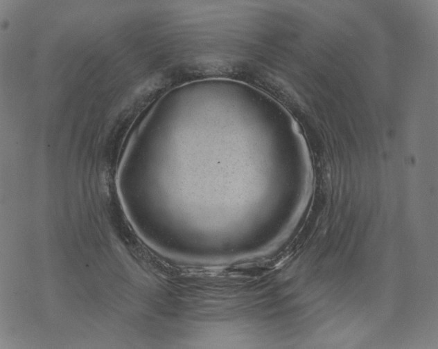 X0000074280643200609081828