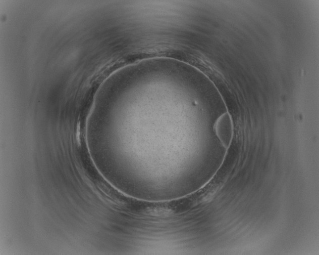 X0000074280644200609081828