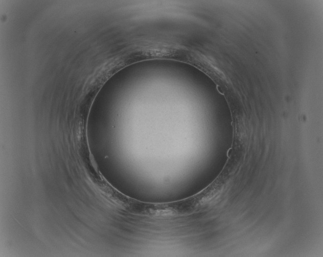 X0000074280645200609081828