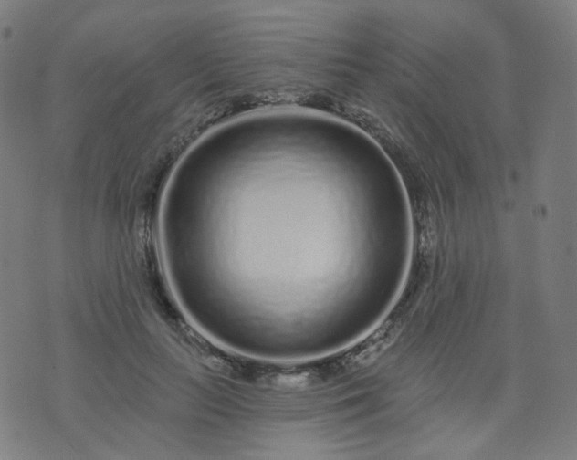 X0000074280647200609081828