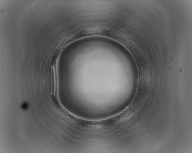 X0000074280649200609081828