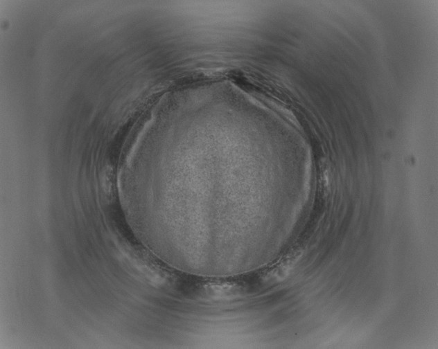 X0000074280650200609081828