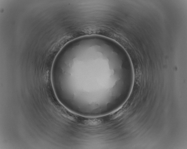 X0000074280652200609081828