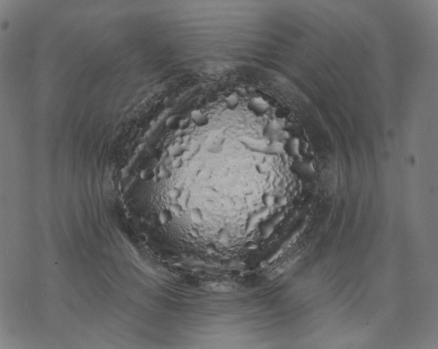 X0000074280654200609081828