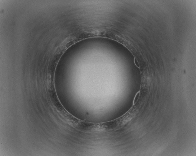 X0000074280656200609081828