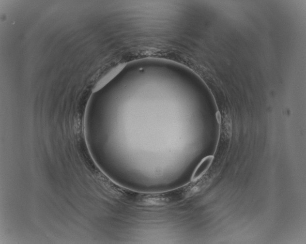 X0000074280657200609081828