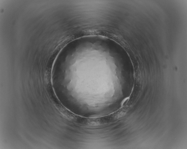 X0000074280658200609081828