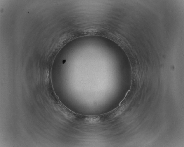 X0000074280660200609081828