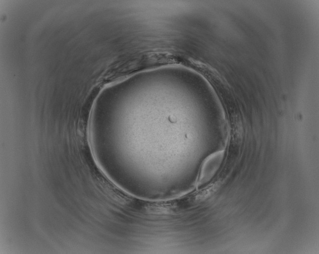 X0000074280661200609081828