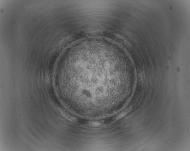 X0000074280662200609081828