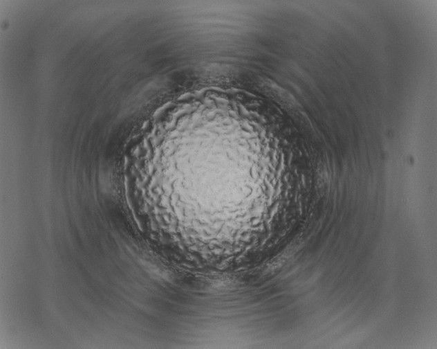 X0000074280663200609081828