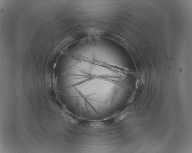 X0000074280666200609081828