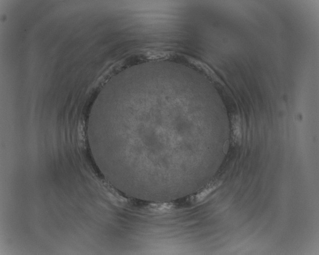 X0000074280667200609081828