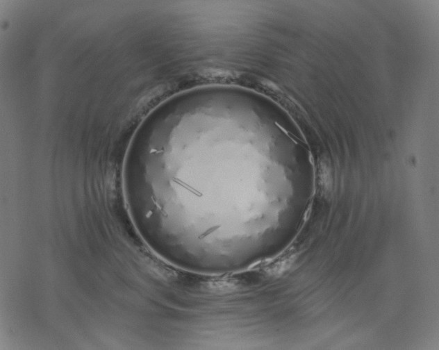 X0000074280668200609081828