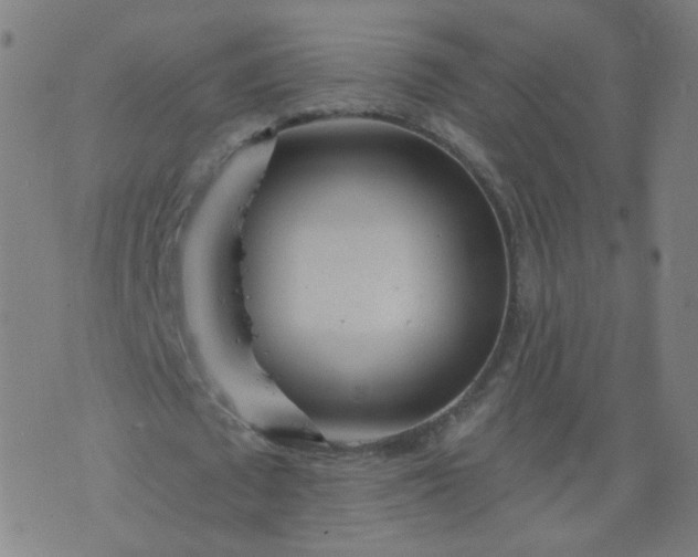 X0000074280673200609081827