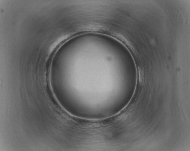 X0000074280675200609081827