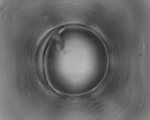 X0000074280676200609081827