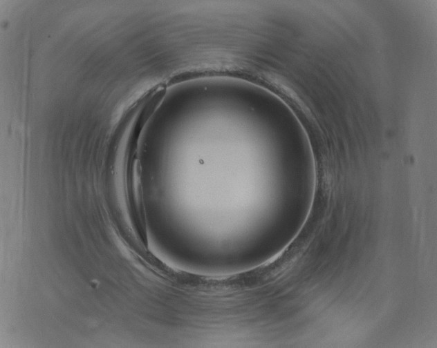 X0000074280677200609081827