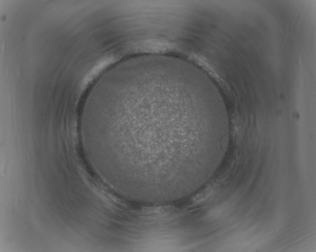 X0000074280679200609081827