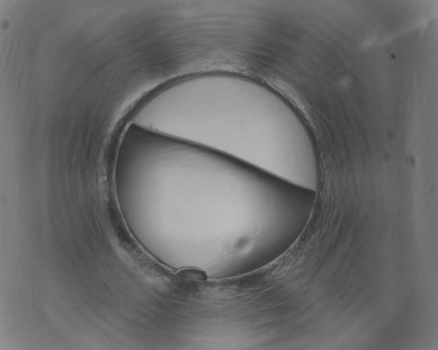 X0000074280680200609081827