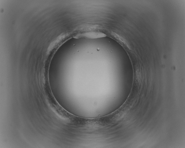 X0000074280682200609081827