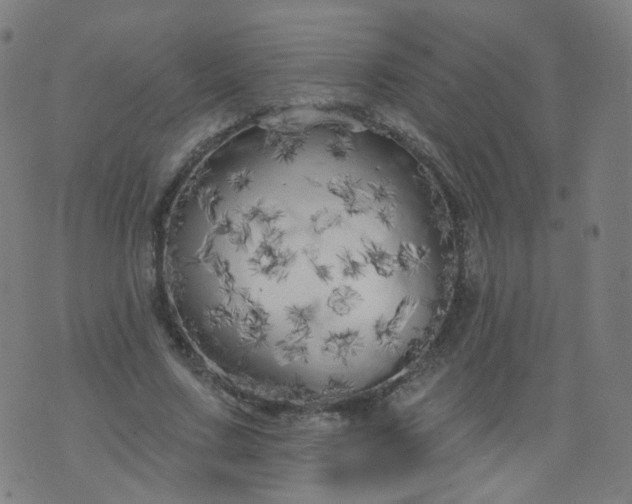 X0000074280683200609081827