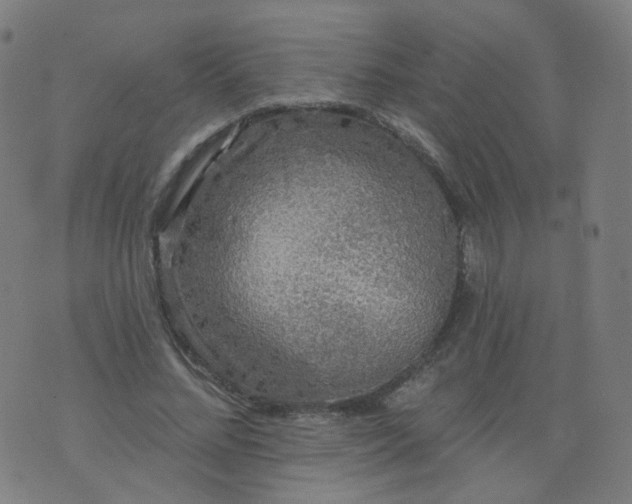 X0000074280684200609081827