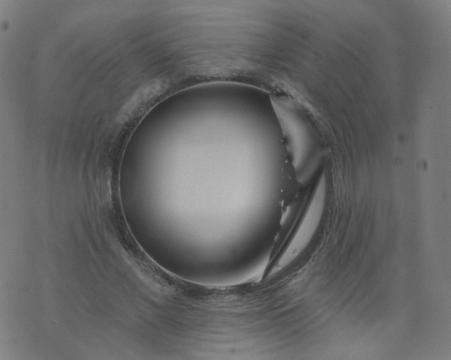 X0000074280685200609081827