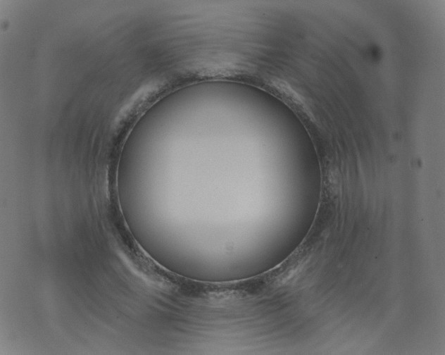 X0000074280686200609081827