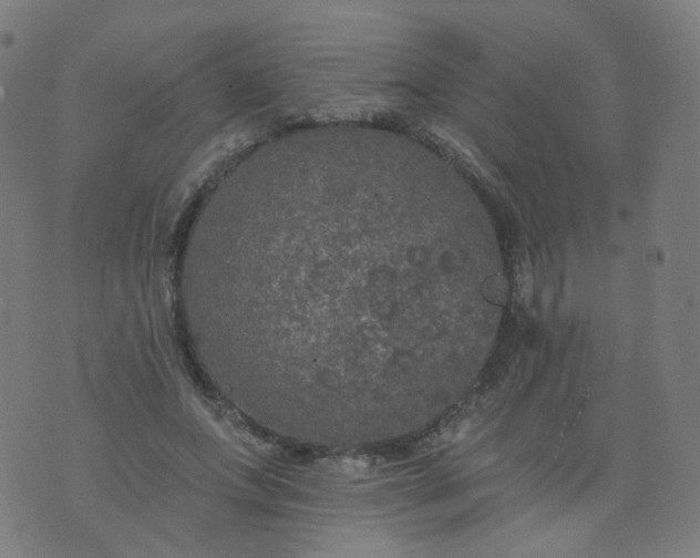 X0000074280687200609081827