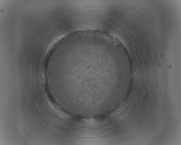 X0000074280688200609081827