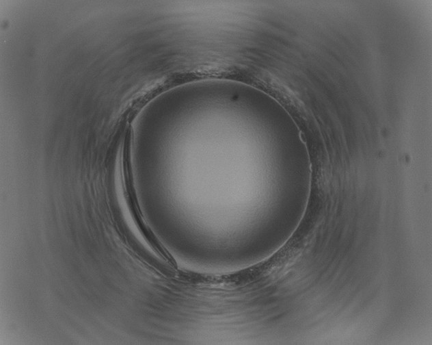 X0000074280689200609081827