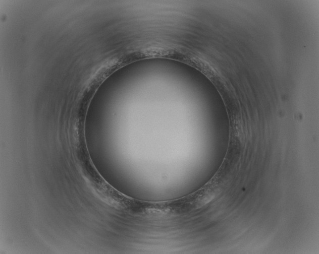 X0000074280690200609081827