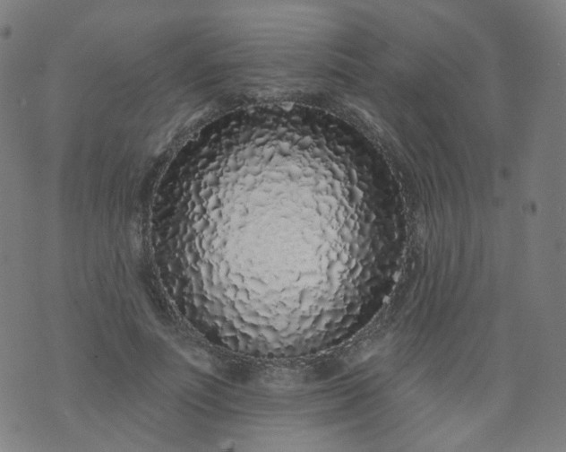 X0000074280691200609081827