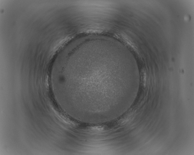 X0000074280692200609081827