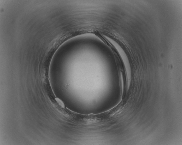 X0000074280693200609081827