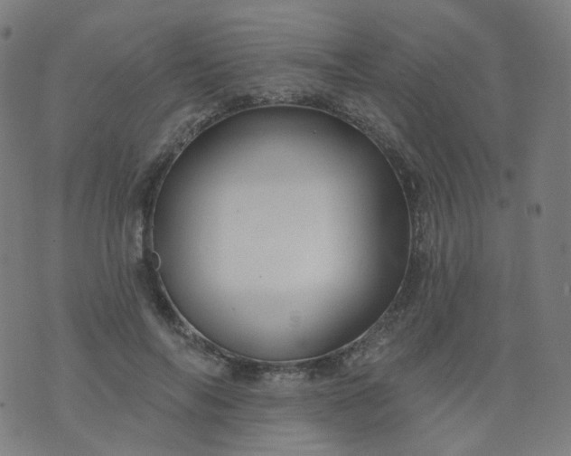 X0000074280694200609081827