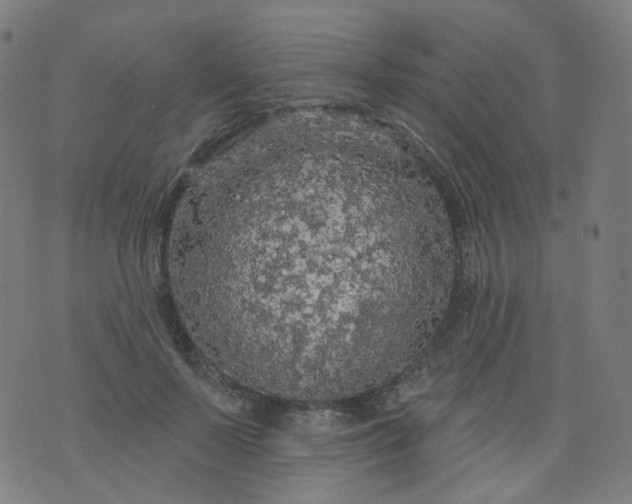 X0000074280695200609081827